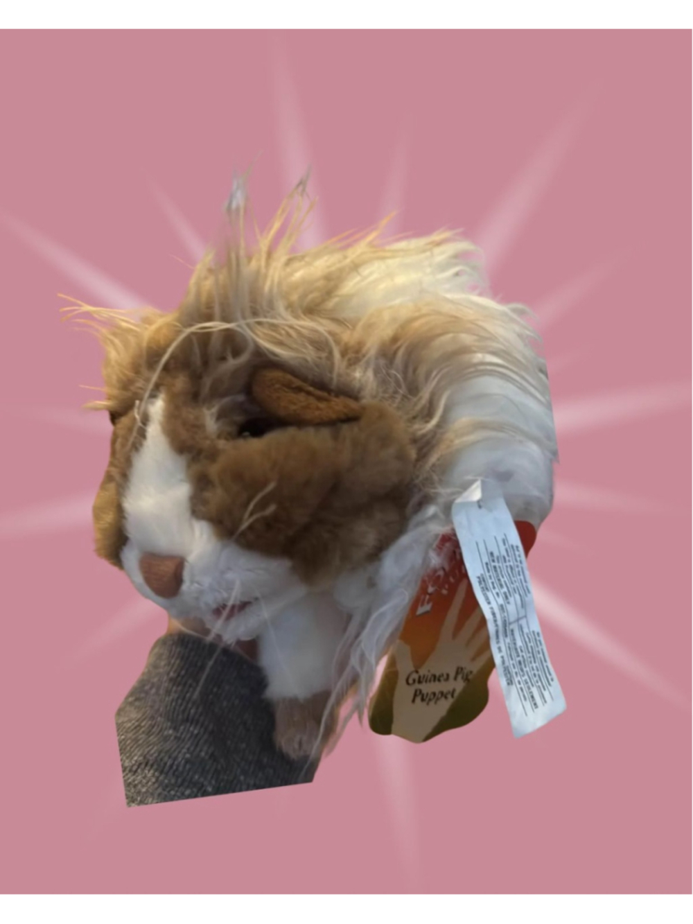 Folkmanis Long Haired Guinea Pig Puppet New with Tags